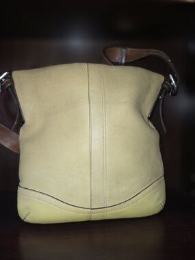 Coach Leather Crossbody Bag in Light Yellow